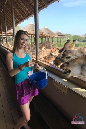 Original 2000 px/ 3000 px