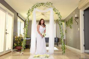 Original 2491 px/ 1663 px