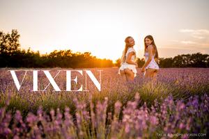 Original 3000 px/ 2000 px