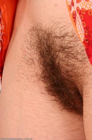 Original 672 px/ 1024 px