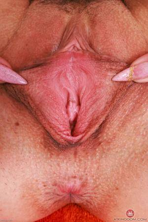 Original 2000 px/ 3000 px