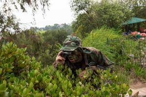 Original 2499 px/ 1663 px