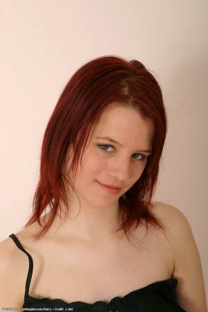 Original 682 px/ 1024 px