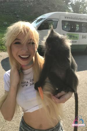 Original 2000 px/ 3000 px