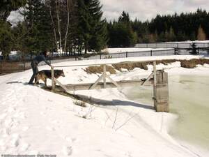 Original 1600 px/ 1200 px