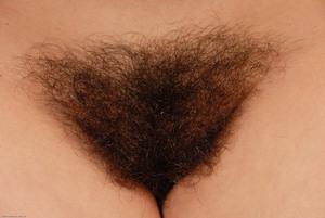 Original 3000 px/ 2008 px