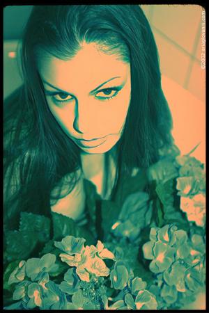 Original 1066 px/ 1600 px