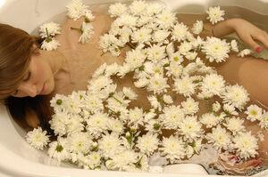 Original 2500 px/ 1662 px