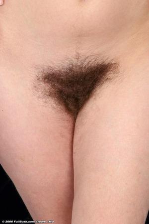 Original 683 px/ 1024 px