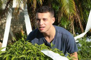 Original 2495 px/ 1663 px