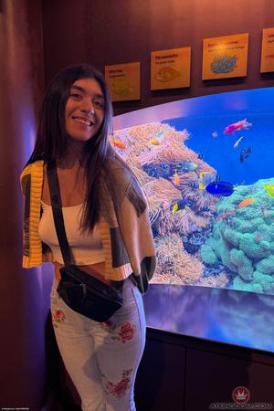 Original 2000 px/ 3000 px