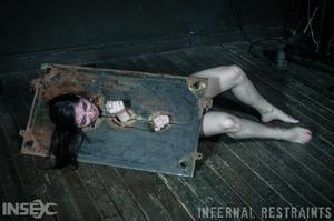 Original 1200 px/ 796 px