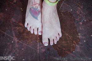 Original 1200 px/ 795 px