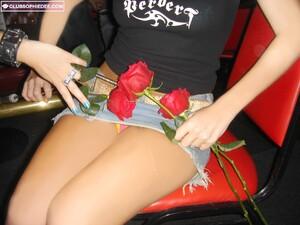 Original 1024 px/ 768 px