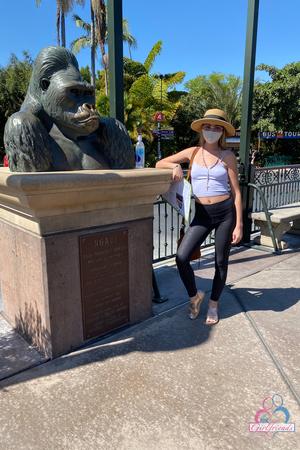 Original 2000 px/ 3000 px