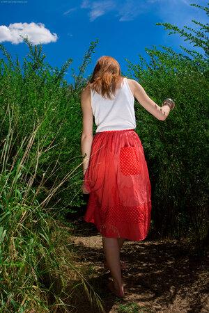 Original 2336 px/ 3504 px