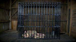 Original 1200 px/ 675 px