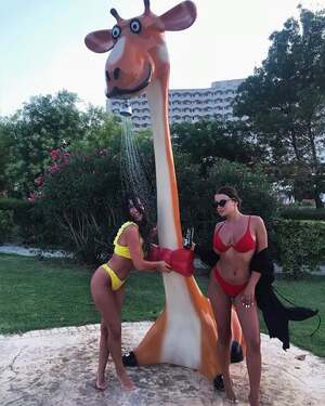 Original 640 px/ 800 px