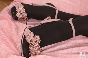 Original 2000 px/ 1329 px