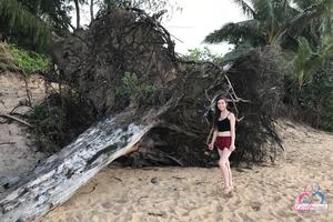 Original 3000 px/ 2000 px