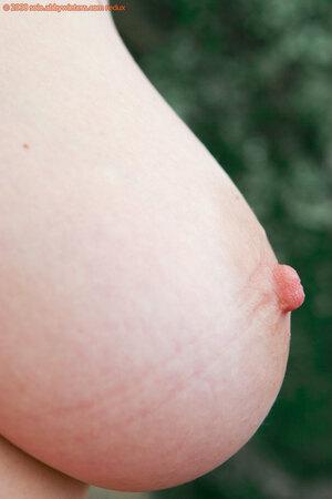 Original 979 px/ 1469 px