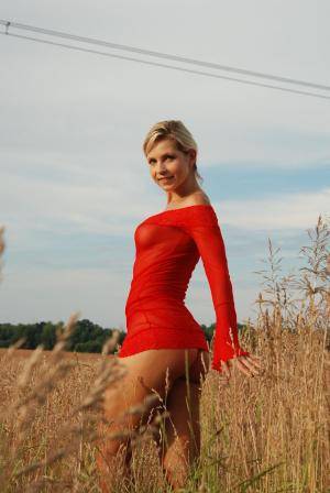 Original 1703 px/ 2544 px