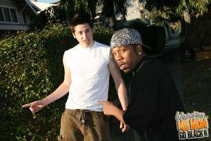 Original 1584 px/ 1056 px