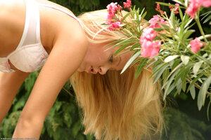 Original 1536 px/ 1024 px