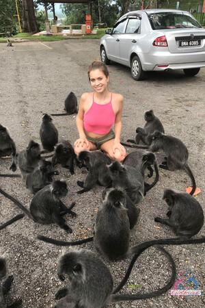 Original 2000 px/ 3000 px