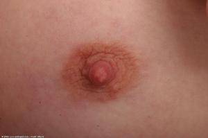 Original 1024 px/ 682 px