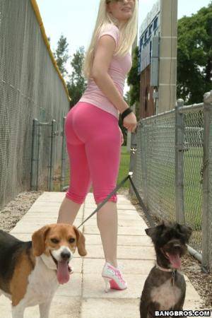 Original 533 px/ 800 px