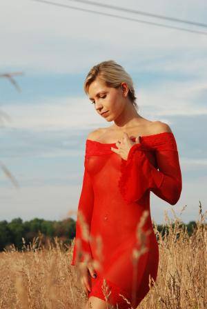 Original 1703 px/ 2544 px