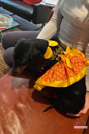 Original 2000 px/ 3000 px