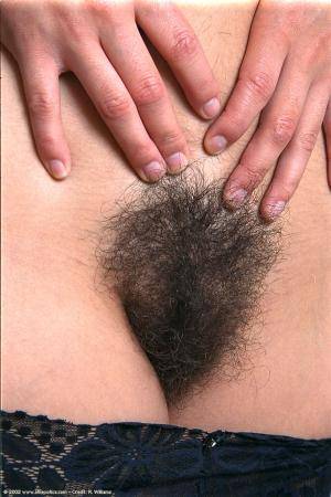 Original 682 px/ 1024 px