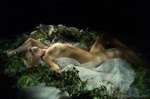 Original 4256 px/ 2819 px