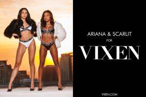 Original 2984 px/ 2000 px