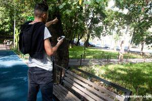 Original 4000 px/ 2667 px