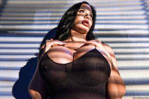 Original 2491 px/ 1663 px