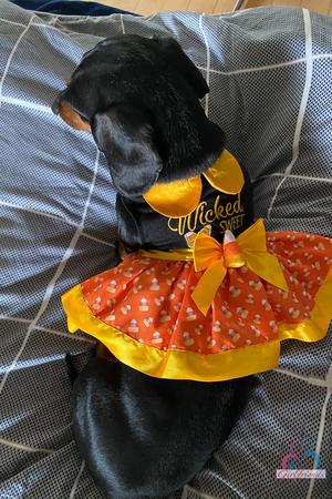 Original 2000 px/ 3000 px