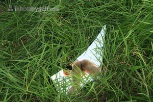 Original 2880 px/ 1920 px