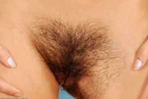 Original 1536 px/ 1028 px