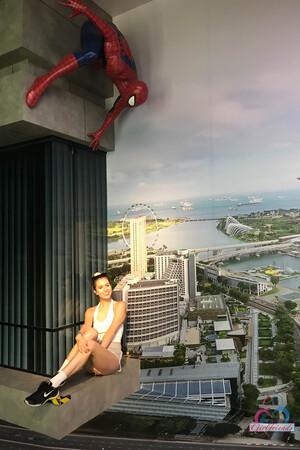 Original 2000 px/ 3000 px