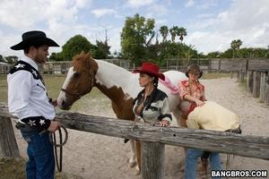 Original 800 px/ 533 px