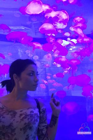 Original 2000 px/ 3000 px