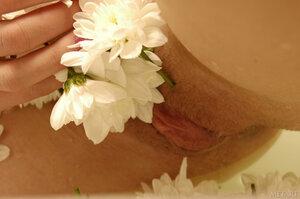 Original 2500 px/ 1662 px