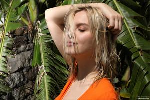 Original 4000 px/ 2667 px