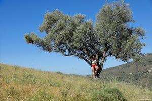 Original 4000 px/ 2668 px