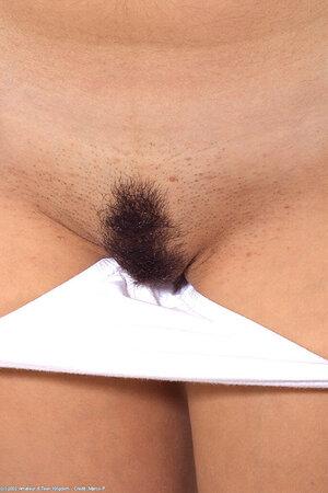 Original 683 px/ 1024 px