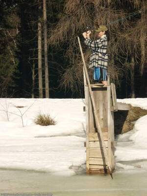 Original 1200 px/ 1600 px