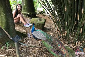 Original 3000 px/ 2000 px